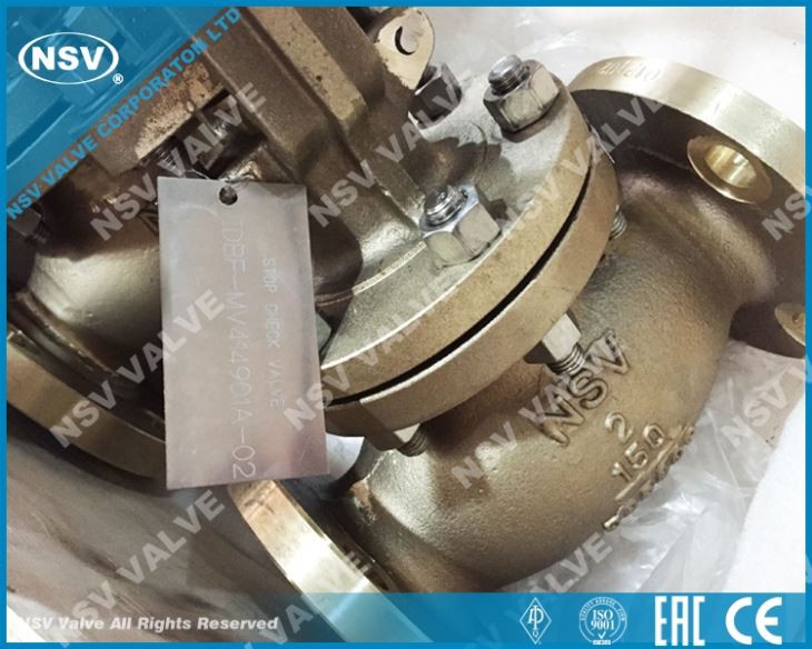C95800 Globe Valve