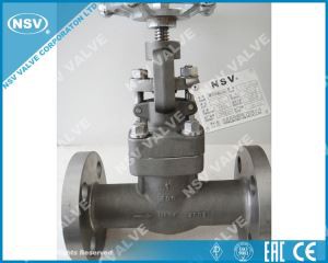 שסתום גלובוס מונל 400